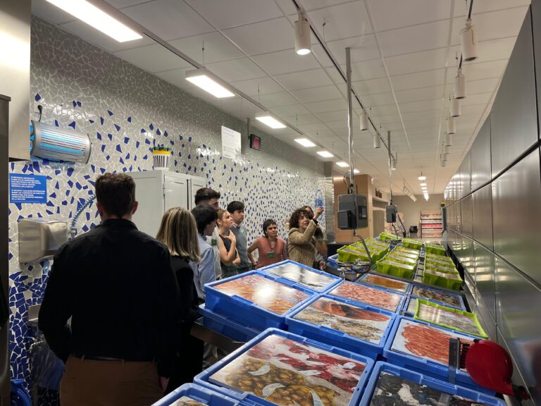 Imagen de WhatsApp 2025-04-28 a las 11.09.25_17ffe675